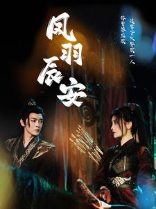 《凤羽辰安》（100集）短剧在线免费看全集