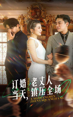 《订婚当天，老丈人镇压全场》（29集）短剧免费全集一看到底