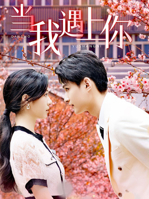 《当我遇上你》（100集）短剧全集免费畅快追
