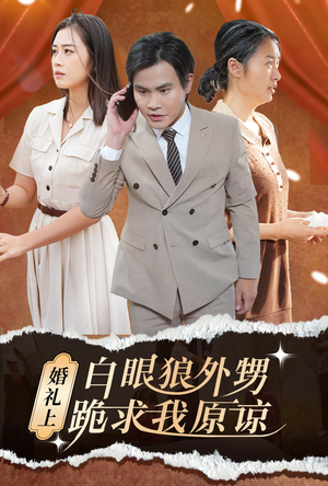 婚礼上白眼狼外甥跪求我原谅（35集）爆款短剧推荐