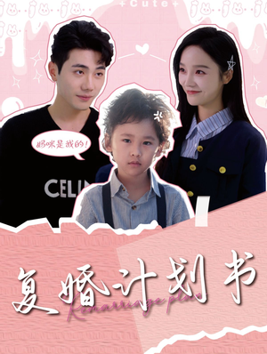 《复婚计划书》（96集）免费短剧全集畅享精彩剧情