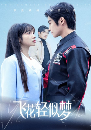 飞花轻似梦(37集) 飞花轻似梦(37集)最后一集
