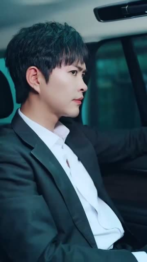 《忽如一夜春风来》（28集）短剧精彩一追到底