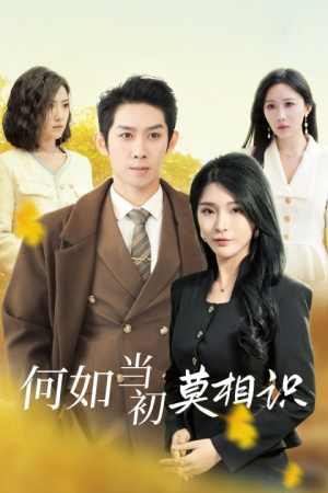《何如当初莫相识》（36集）免费短剧全集嗨看不停