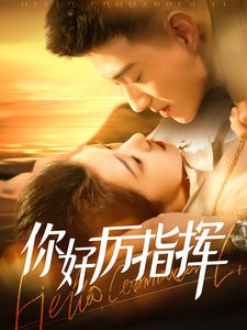 《你好厉指挥》（100集）短剧在线看全集过瘾