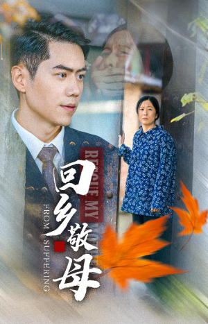 《回乡敬母》（43集）在线看短剧全集享温情