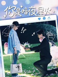 你是暗夜星火(120集) 你是暗夜星火(120集)爆火短剧追不停