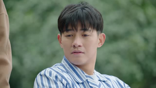 《婚姻攻略》（16集）在线短剧免费看全集啦