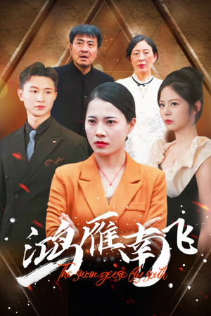 《鸿雁南飞》（64集）畅看短剧全集不收费