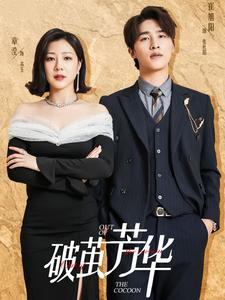 《破茧芳华》（80集）超燃短剧全集免费观