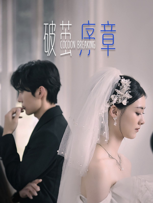 《破茧序章》（64集）短剧免费全集在线赏