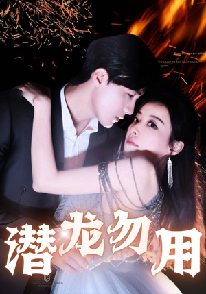 《潜龙勿用》（87集）精彩短剧全集在线追看