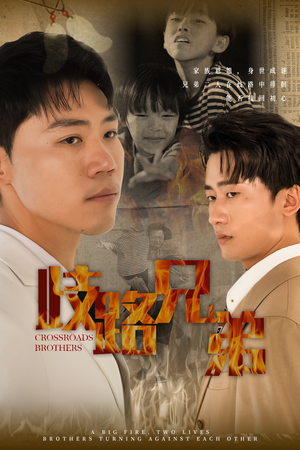 《歧路兄弟》（63集）爆款短剧精彩不容错过