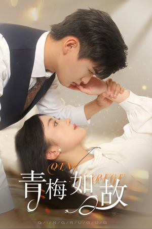 《青梅如故》（61集）看短剧全集畅享不停歇