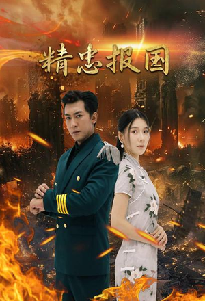 精忠报国(61集) 精忠报国(61集)评价怎么样