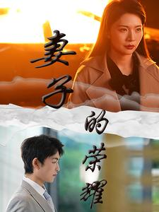 《妻子的荣耀》（40集）短剧全集免费看超嗨