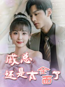 《戚总今天追到夫人了么》（57集）精彩短剧全集免费在线畅看