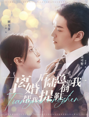 《离婚后陆总倒追我帮我提鞋》（100集）免费看短剧全集不卡顿