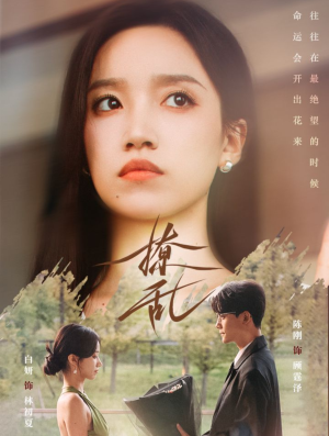 《撩乱》（65集）在线短剧免费看全