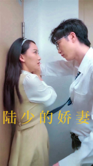 《陆少的娇妻》（100集）短剧全集免费在线观赏