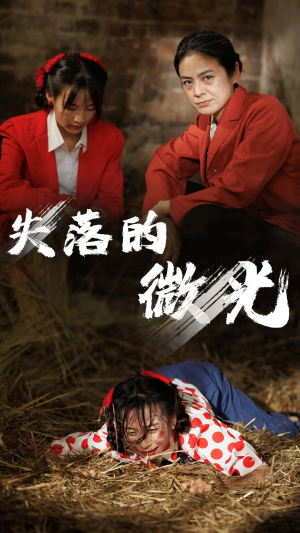 失落的微光(60集) 失落的微光(60集)红果短剧免费看