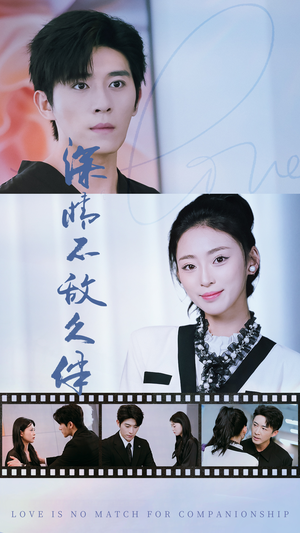 《深情不敌久伴》（50集）免费畅享短剧全集看