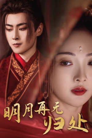 《明月再无归处》（39集）在线看短剧全集不卡顿