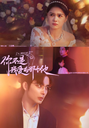 《你不是我爱的那个他》（54集）短剧全集免费在线看