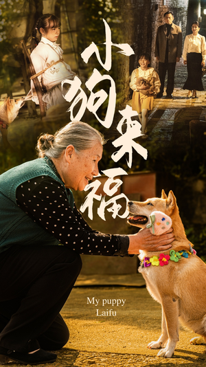 《小狗来福》（30集）短剧全集在线欢乐看