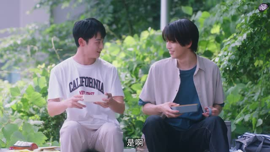 《向阳之处必有声》（12集）爆款短剧在线追不停