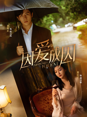 因爱成囚(30集) 因爱成囚(30集)全剧看到大结局