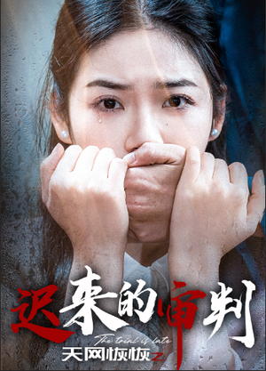 《天网恢恢之迟来的审判》（31集）看短剧全集一气呵成