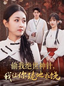 《偷我绝世神针，我让你跪地求饶》（30集）热门短剧一追到底