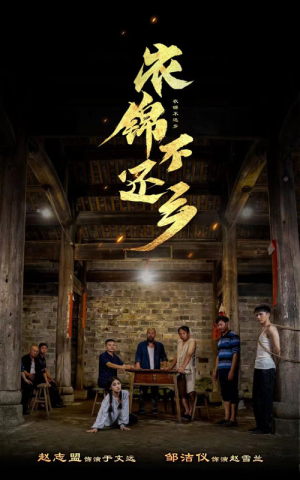 《衣锦不还乡》（69集）爆款短剧免费全集畅看