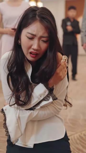 《我不是司机》（61集）看短剧全集在线超带感