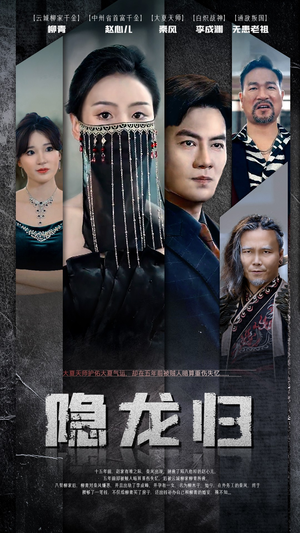 《隐龙归》（80集）短剧全集流畅在线追看