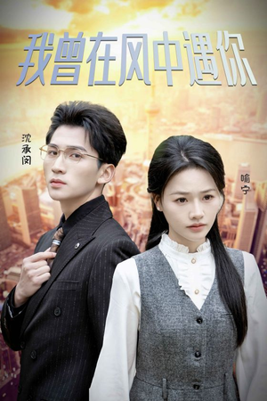 《我曾在风中遇你》（30集）在线短剧免费全集速看