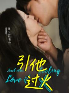 《引他过火》（40集）全集短剧免费在线追