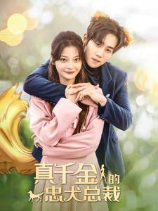 《真千金的忠犬总裁》（74集）免费短剧一集不落追着看