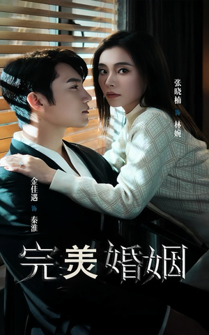 《完美婚姻》（65集）免费短剧畅享不停看