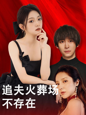 《追夫火葬场不存在》（100集）在线畅看短剧全集哟