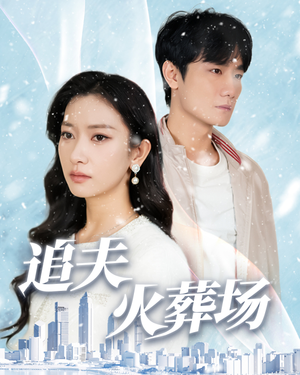 《追夫火葬场》（31集）看短剧追到精彩大结局