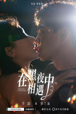 《在黑夜中相遇》（32集）免费短剧全集速来追