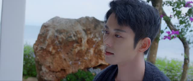 《向北的遗憾》（20集）精彩短剧免费畅看全集