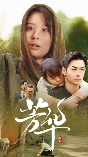 《芳华》（80集）短剧全集免费在线畅看