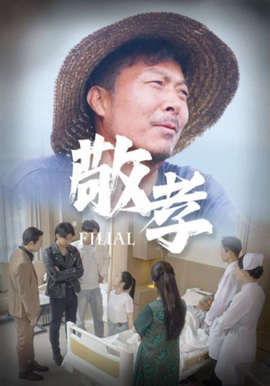 《敬孝》（61集）在线看短剧全集不间断