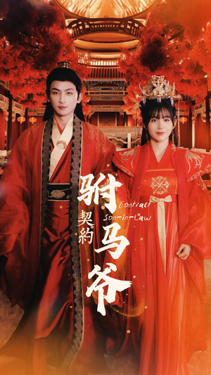 《契约驸马爷》（74集）短剧在线一览无余