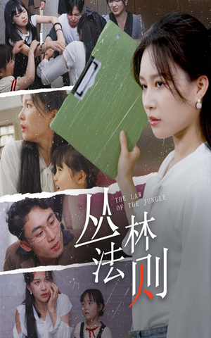《丛林法则》（29集）精彩短剧免费全集赏