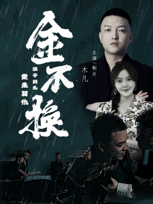 《金不换》（32集）免费短剧完整版随心看