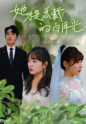 《她才是总裁的白月光》（90集）免费看短剧全集无广告